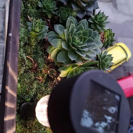 Appartamento Kaleidoszkop Haz Apartman *